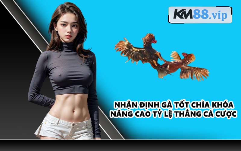 Nhận định gà tốt chìa khóa nâng cao tỷ lệ thắng cá cược